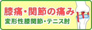 膝痛・関節の痛み・変形性膝関節・テニス肘