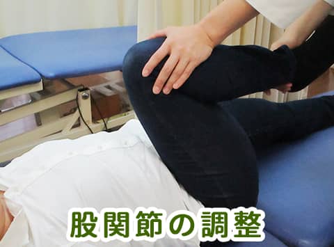 股関節の調整